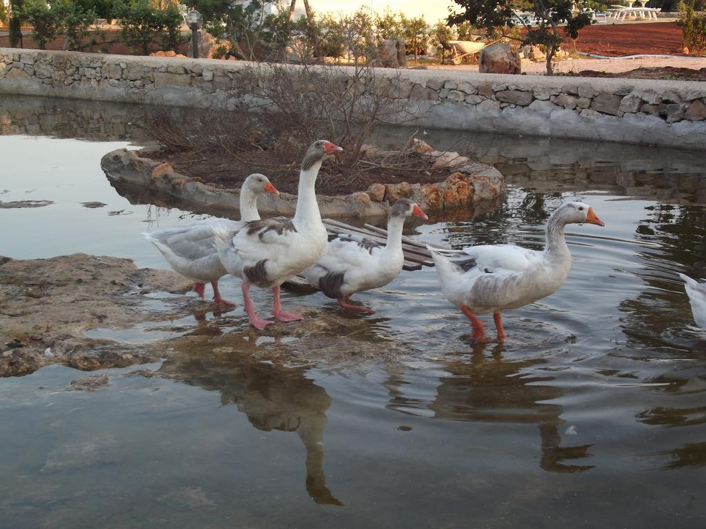 Agriturismo Zio Zac Βίλα Torre Pali Εξωτερικό φωτογραφία